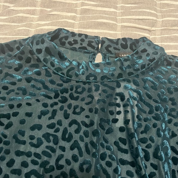 Lane Bryant Sheer leopard print top - Picture 3 of 4